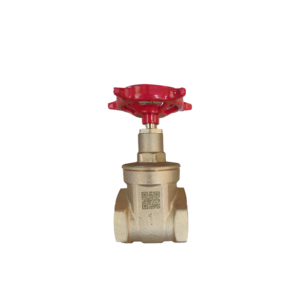 GATE VALVE 1 INCH  PEGLER