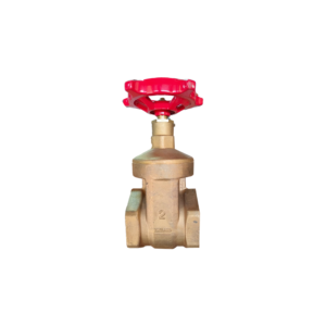 GATE VALVE 2 INCH PEGLER