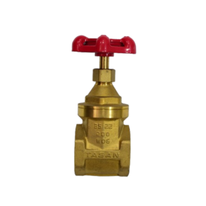 TASAN BRASS GATE VALVE  2