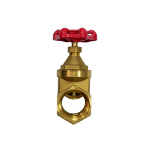TASAN BRASS GATE VALVE  1 1/4